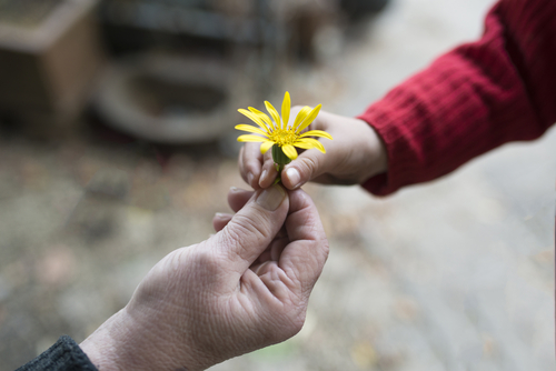 Kindness can improve all your relationships!