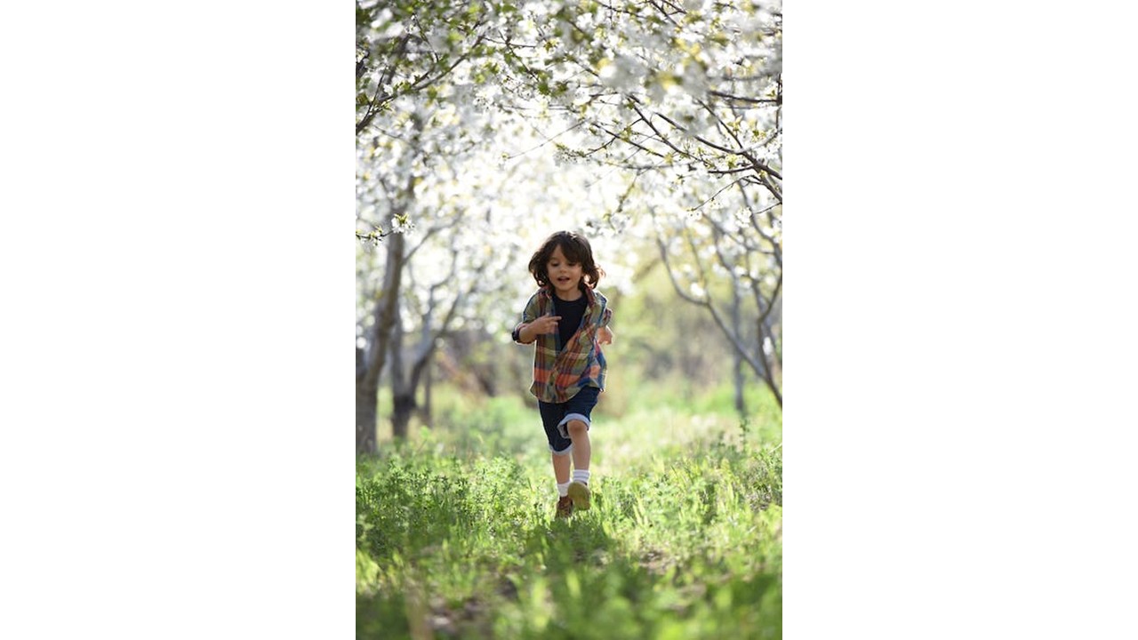 Resilience for Kids and Adults