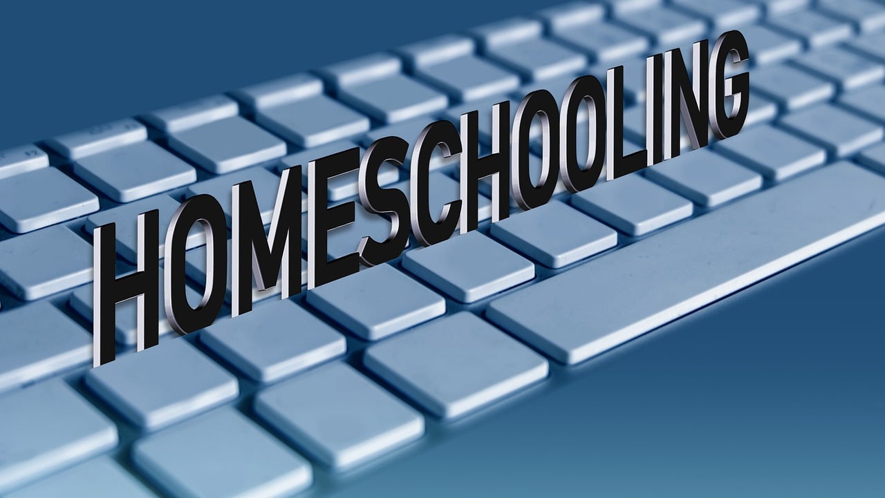 Why Some Should Consider Homeschooling