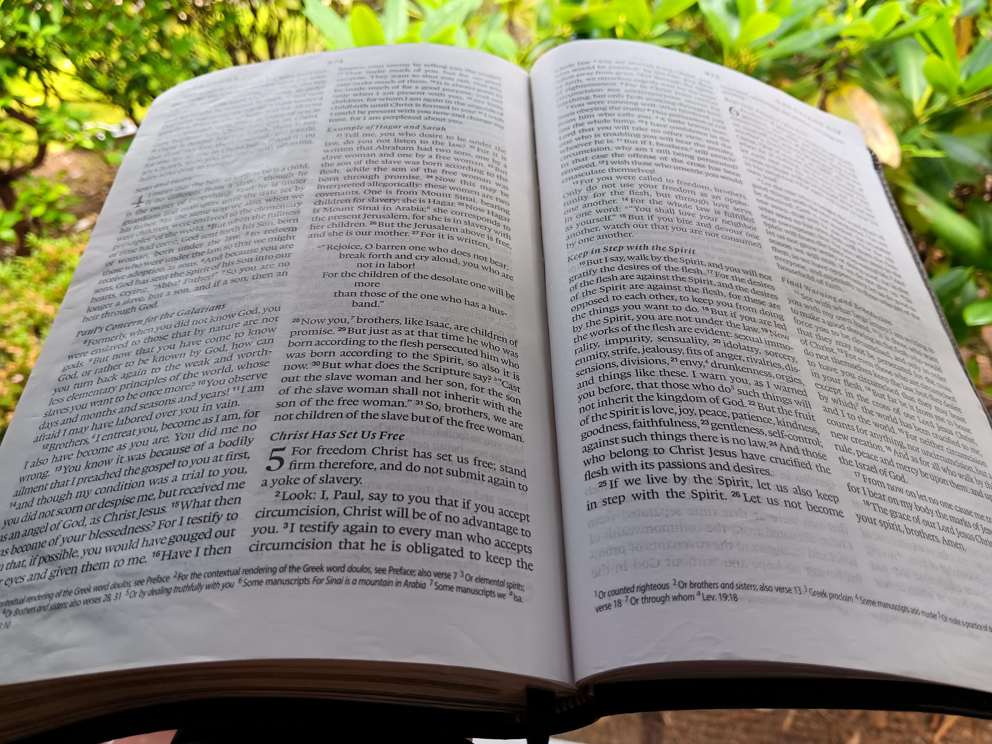 What’s the Difference Between Acts of the Flesh and Fruit of the Spirit?