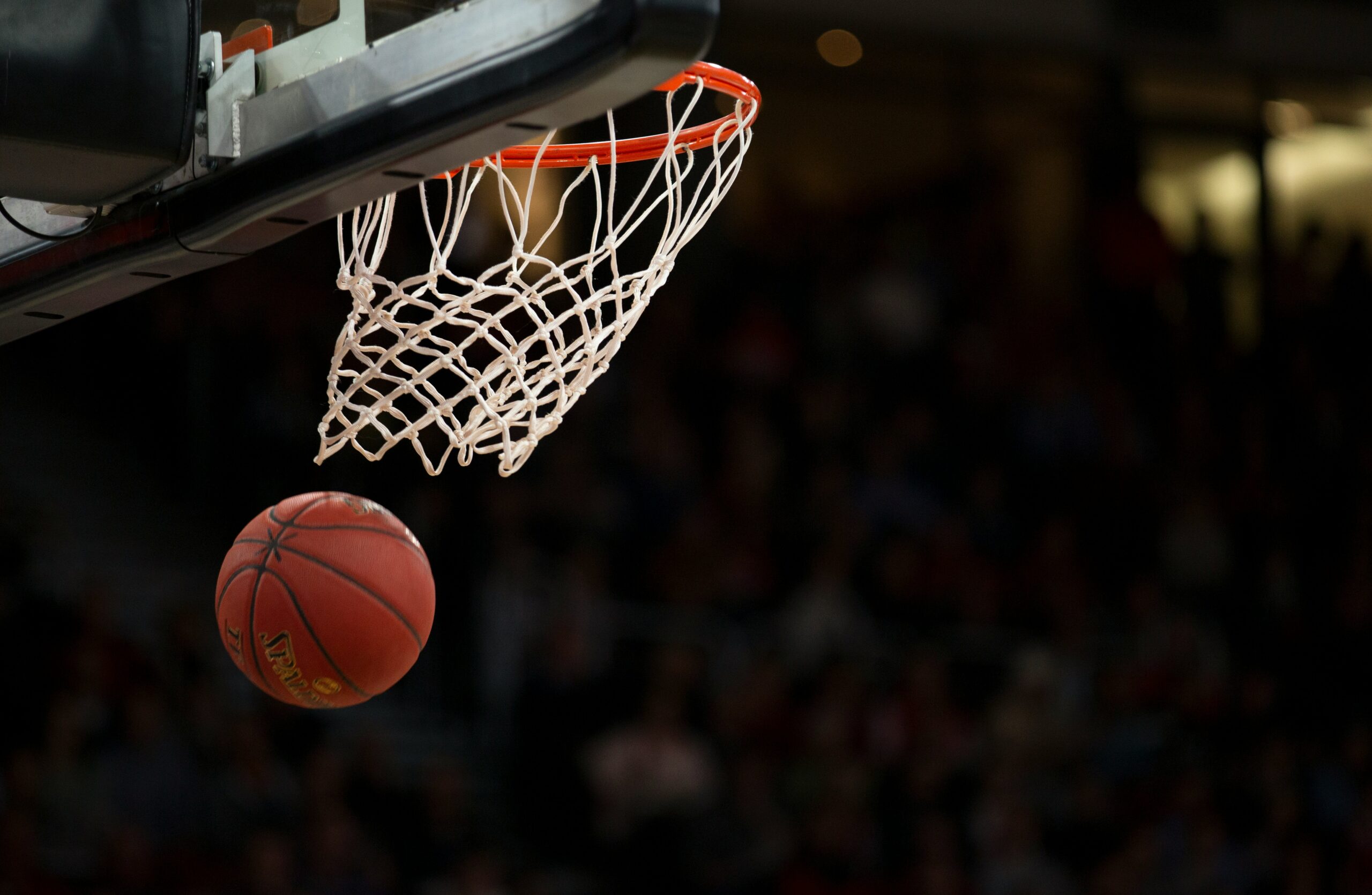 Former NBA Players Declaring for the WNBA?