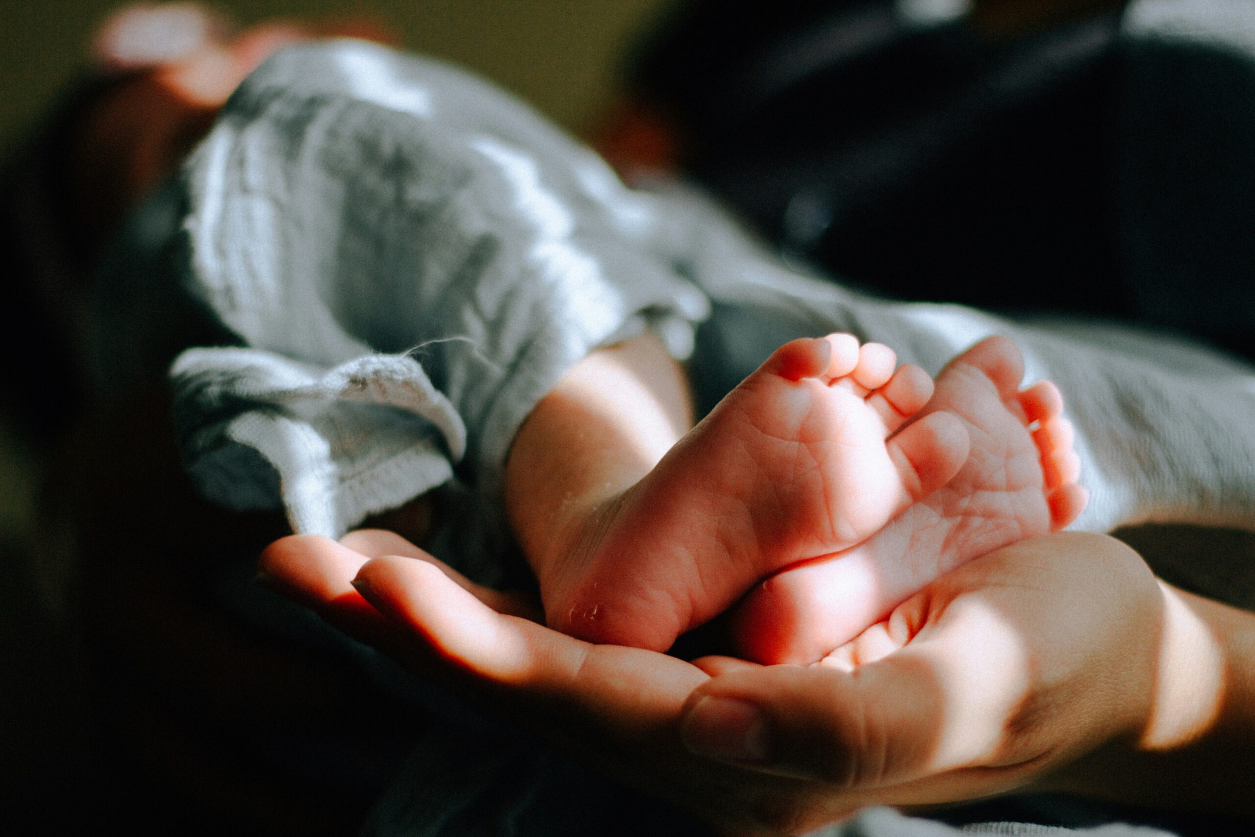 Surrogate Mother Flees to Texas to Save Baby From Abortion